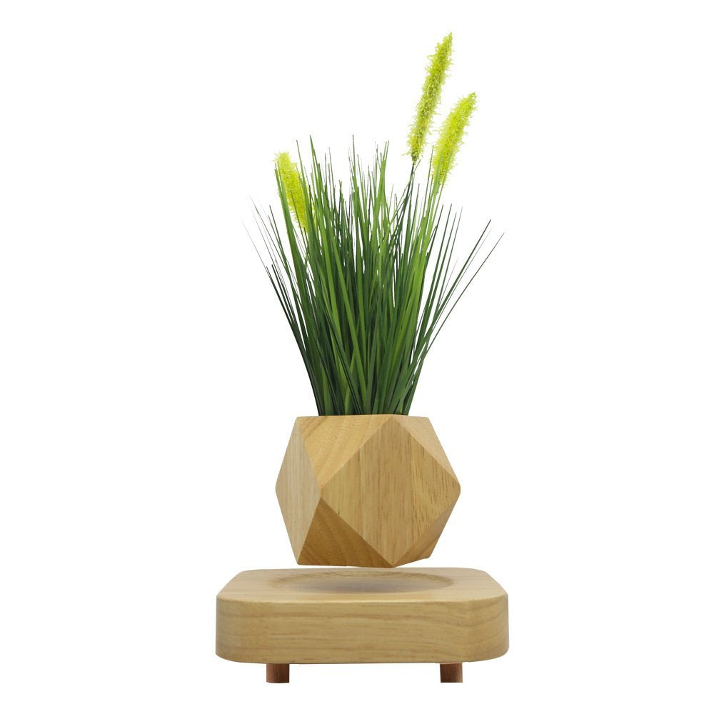 Geodesic Wooden Levitating Air-Floating Bonsai Pot – Stilyo Store