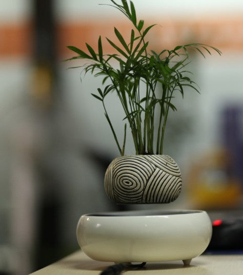 floating air plant pot Fantasy Collection Levitating Air-Floating Bonsai Pot