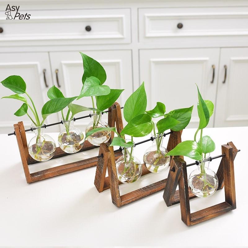 walmart terrarium plants Rustic Plant Terrarium with Wooden Stand