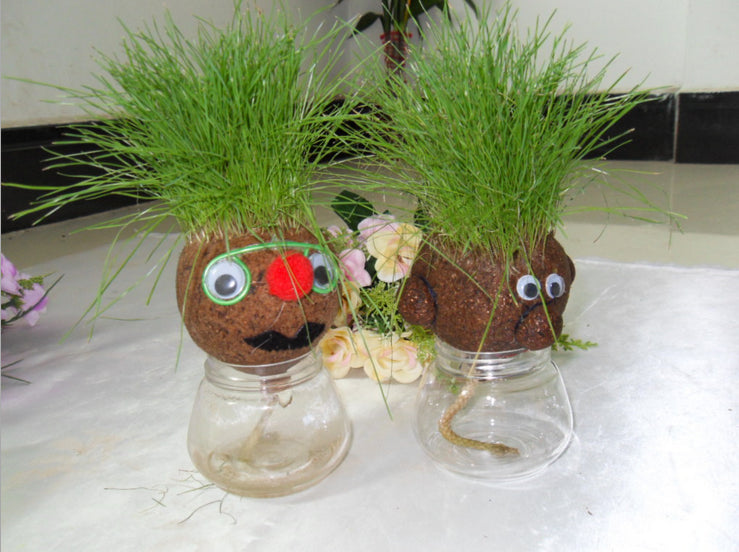 Lovely Design Mini DIY Magic Grass Head Plant - stilyo