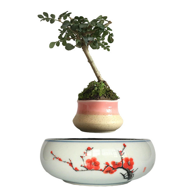 Red Flowers Ceramic Base Levitating Air-Floating Bonsai Pot - stilyo