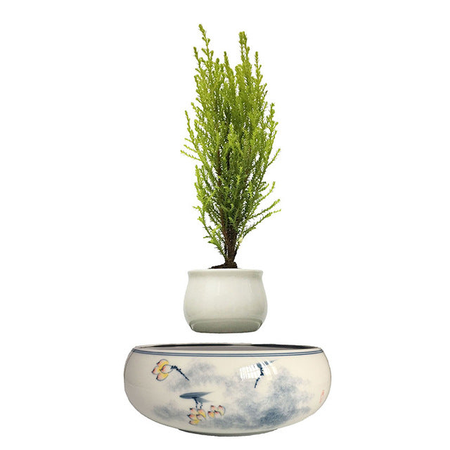 Yellow Flowers Ceramic Base Levitating Air-Floating Bonsai Pot - stilyo