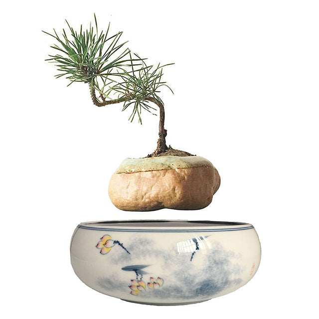 Yellow Flowers Ceramic Base Levitating Air-Floating Bonsai Pot - stilyo