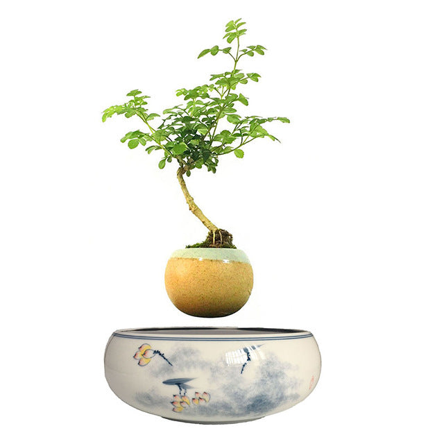Yellow Flowers Ceramic Base Levitating Air-Floating Bonsai Pot - stilyo