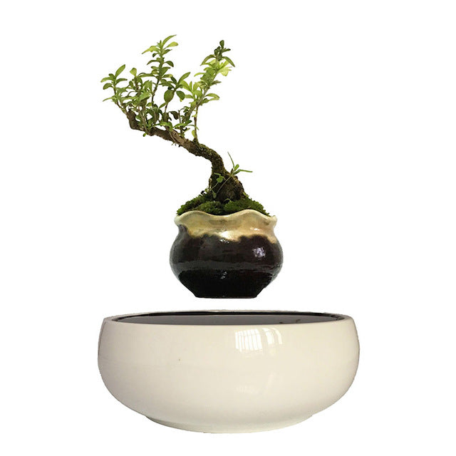 White Ceramic Base Levitating Air-Floating Bonsai Pot - stilyo