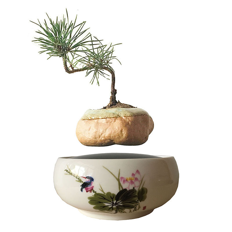 Song Bird White Ceramic Base Levitating Air-Floating Bonsai Pot - stilyo