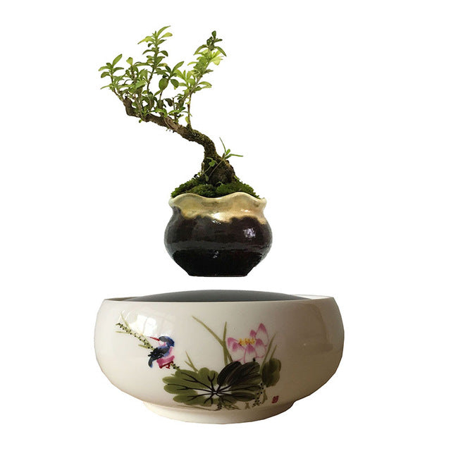 Song Bird White Ceramic Base Levitating Air-Floating Bonsai Pot - stilyo
