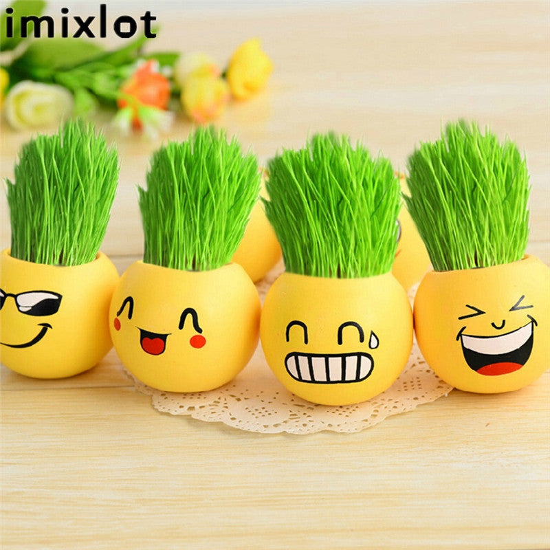 Creative DIY Emoji Grass Head - stilyo