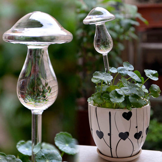 Mushroom Clear Glass Water Feeder - stilyo