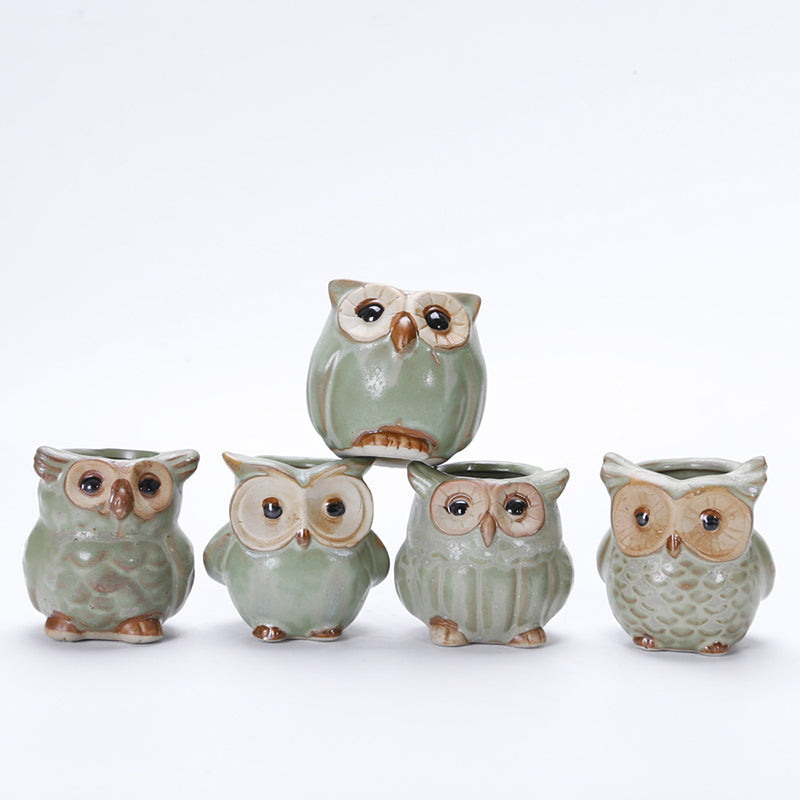 Mini Ceramic Owl Plant Pot (Random Design) - stilyo