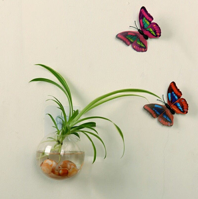 Wall Hanged Transparent Round Pot / Aquarium - stilyo