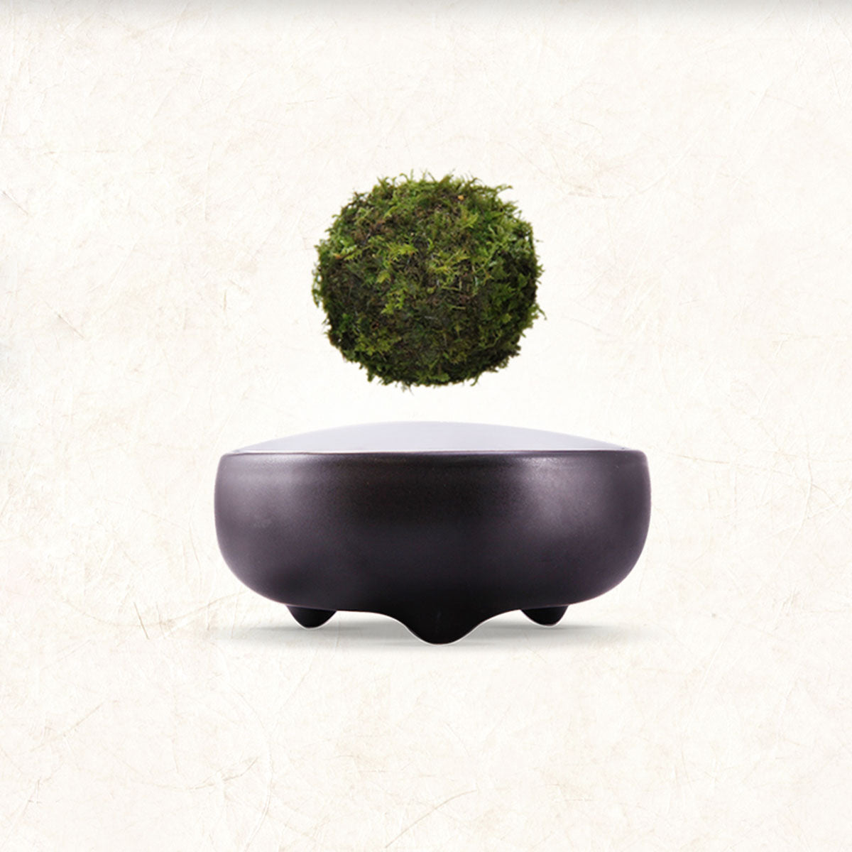 Air Bonsai