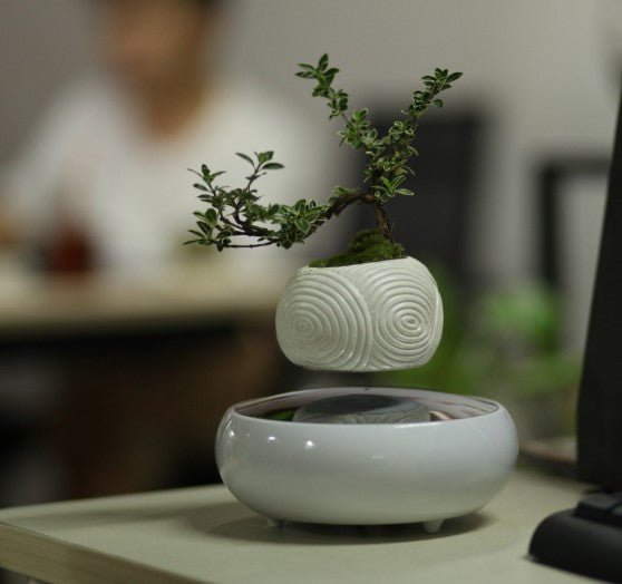 airsai - floating plant pot Fantasy Collection Levitating Air-Floating Bonsai Pot – Stilyo Store