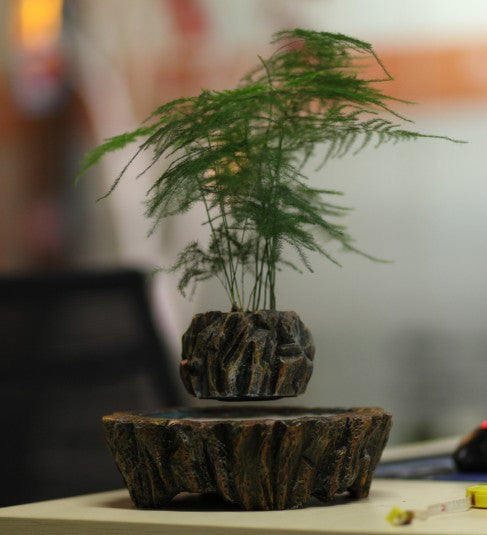 Fantasy Collection Levitating Air-Floating Bonsai Pot - stilyo