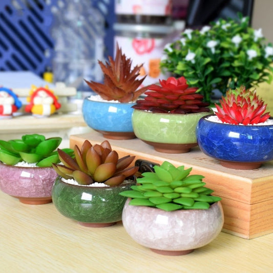 Ningus Ceramic Planter - stilyo