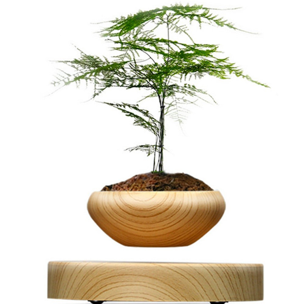 Levitating Air-Floating Bonsai Pot - stilyo