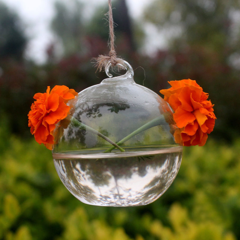 Hydroponic Hanging Terrarium - stilyo