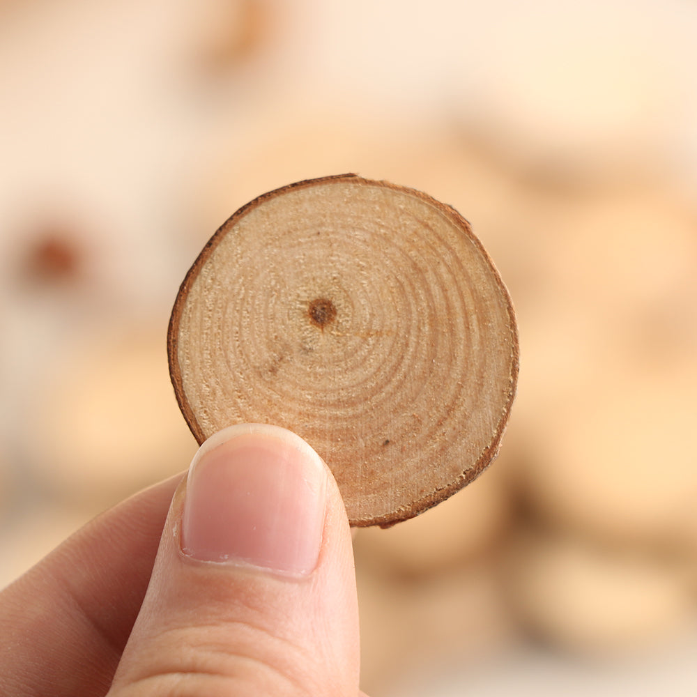 Wood Log Slices Discs for DIY Crafts - 50Pcs/Set 2-4CM - stilyo