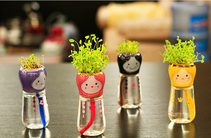 Mini DIY Magic Grass Head Babushka Planters - stilyo