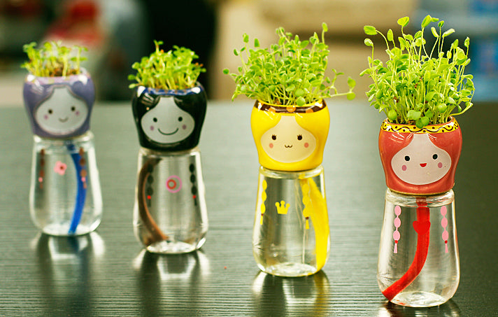 Mini DIY Magic Grass Head Babushka Planters - stilyo