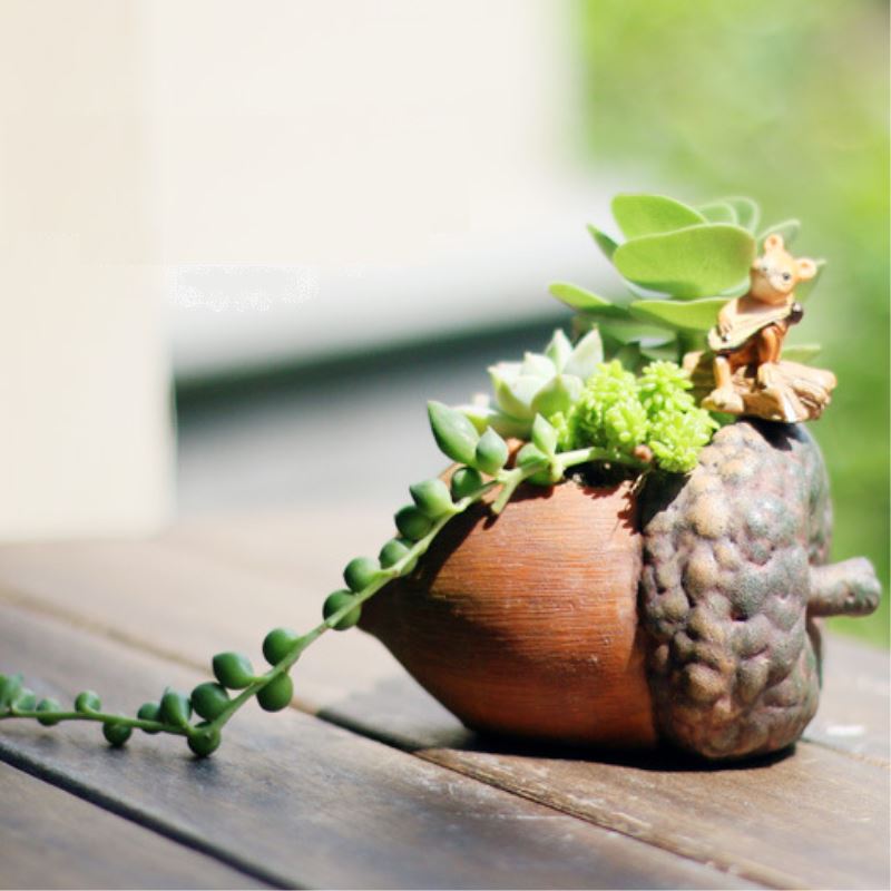 Mini Pine Succulent Planters Pot - stilyo