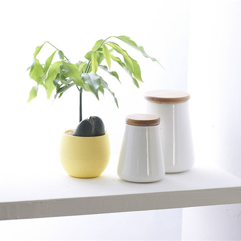 Colorful Cute Plant Flower Pot - stilyo