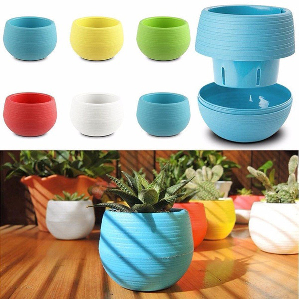 Colorful Cute Plant Flower Pot - stilyo