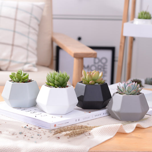 Hexagon Ceramic Planters Set - 4 Pieces - stilyo