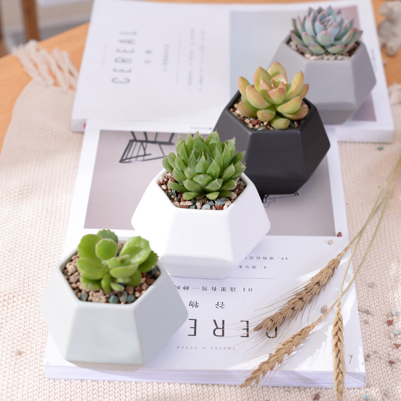 Hexagon Ceramic Planters Set - 4 Pieces - stilyo