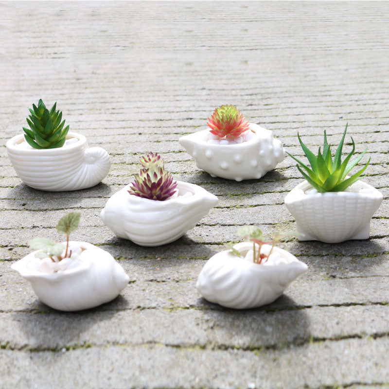 6 Pieces set Mini Shell Shaped Ceramic Planters - stilyo