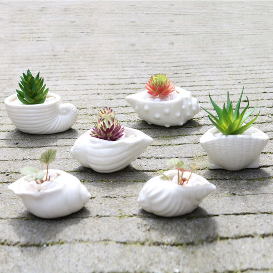 6 Pieces set Mini Shell Shaped Ceramic Planters - stilyo