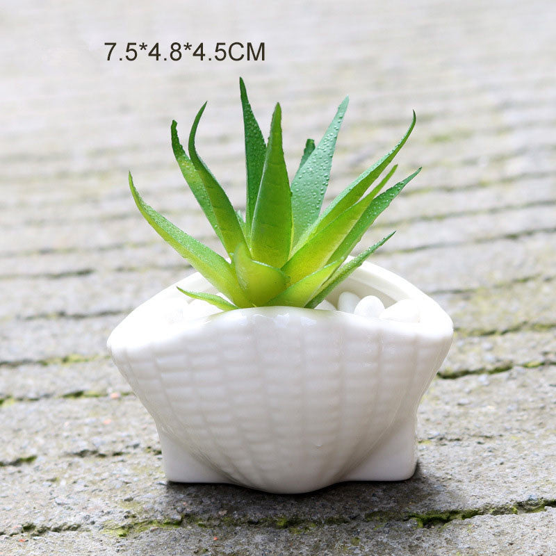 6 Pieces set Mini Shell Shaped Ceramic Planters - stilyo