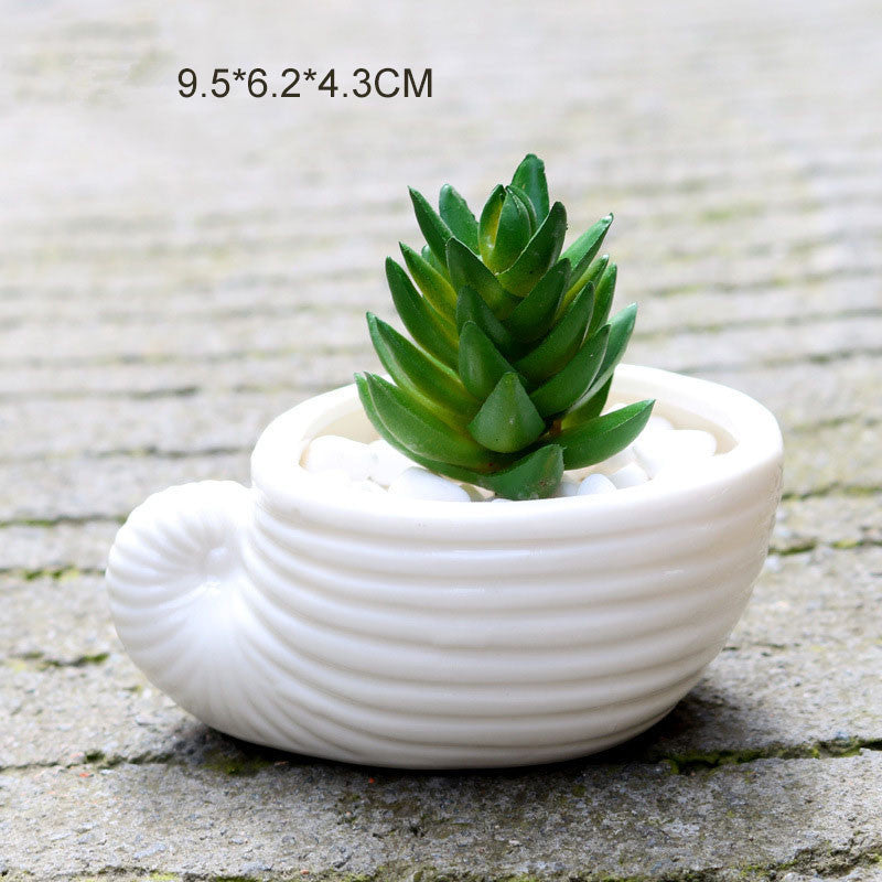 6 Pieces set Mini Shell Shaped Ceramic Planters - stilyo