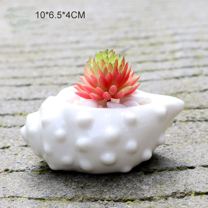 6 Pieces set Mini Shell Shaped Ceramic Planters - stilyo