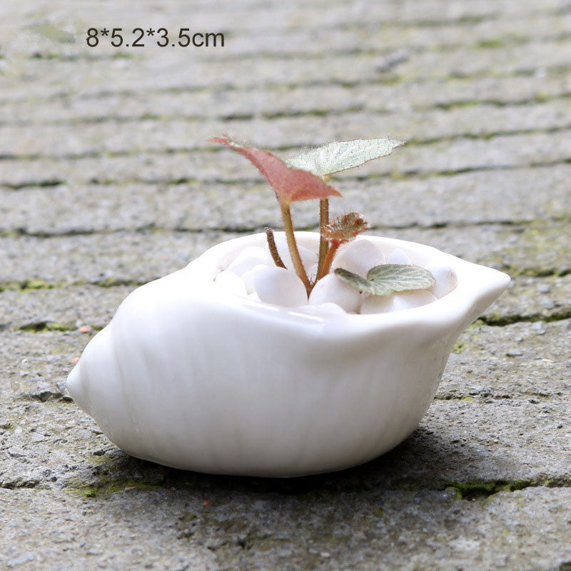 6 Pieces set Mini Shell Shaped Ceramic Planters - stilyo