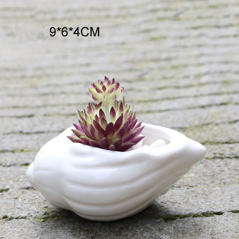 6 Pieces set Mini Shell Shaped Ceramic Planters - stilyo