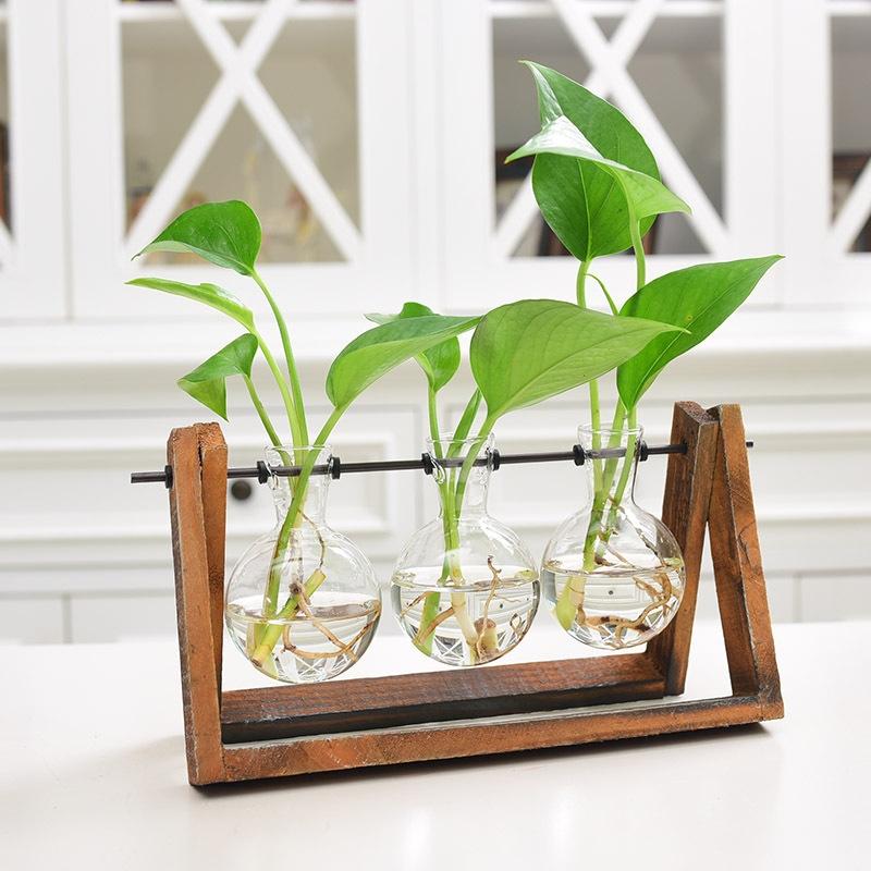 terrarium plant stand Rustic Plant Terrarium with Wooden Stand