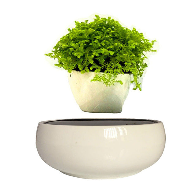 Levitating Air-Floating Bonsai Pot – Stilyo Store