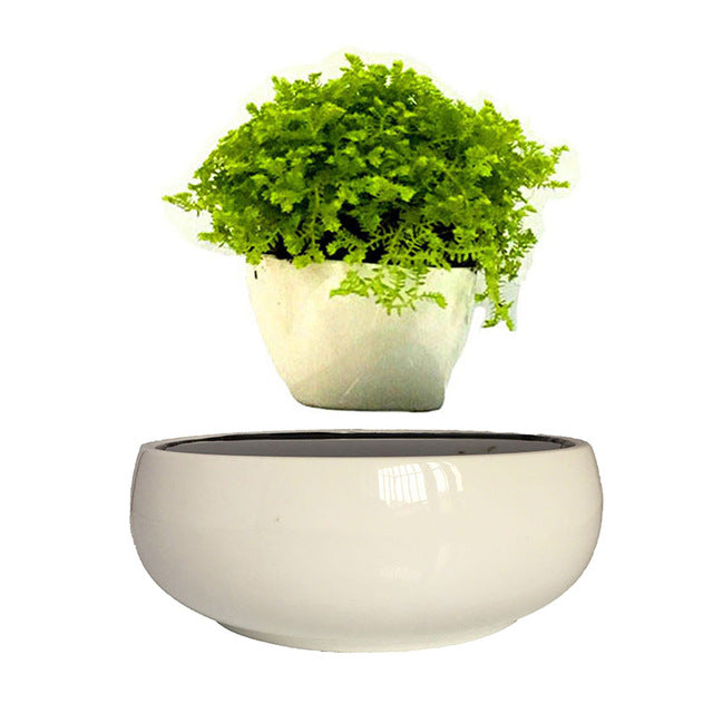 Levitating Air-Floating Bonsai Pot - stilyo