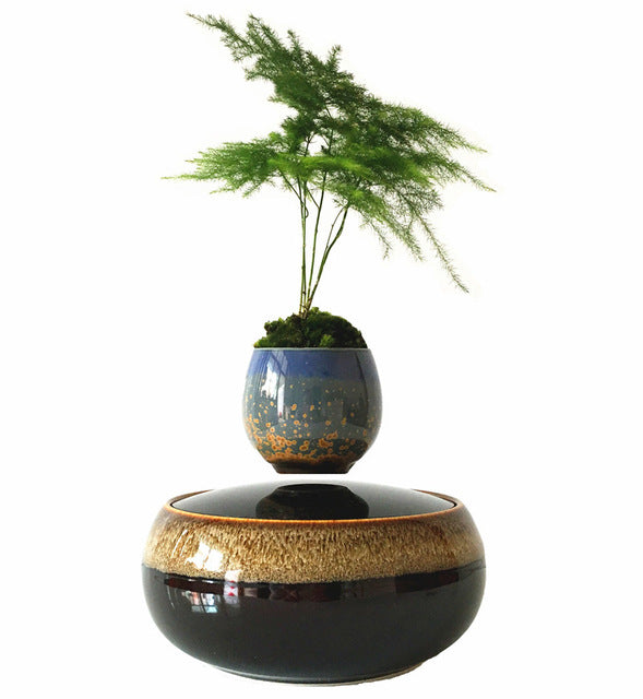 Levitating Air-Floating Bonsai Pot - stilyo