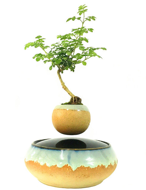 Levitating Air-Floating Bonsai Pot - stilyo