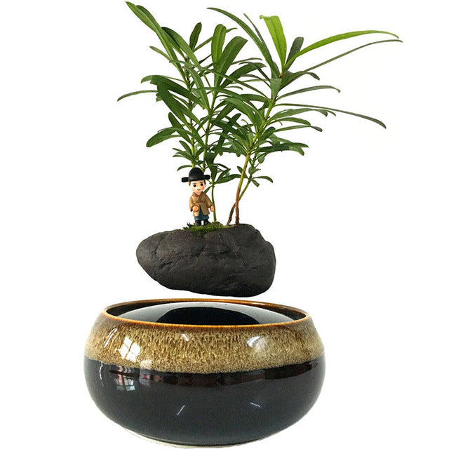 Levitating Air-Floating Bonsai Pot - stilyo