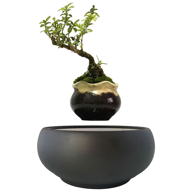 Levitating Air-Floating Bonsai Pot - stilyo