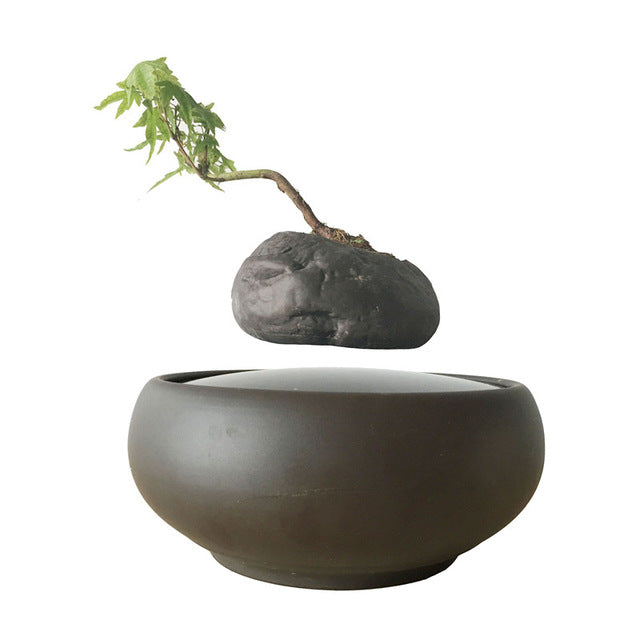 Levitating Air-Floating Bonsai Pot - stilyo