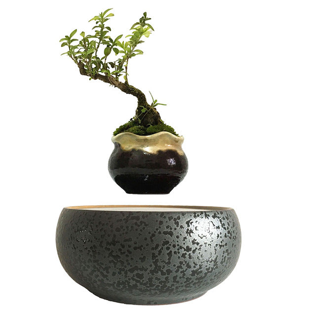 floating tree bonsai Levitating Air-Floating Bonsai Pot – Stilyo Store