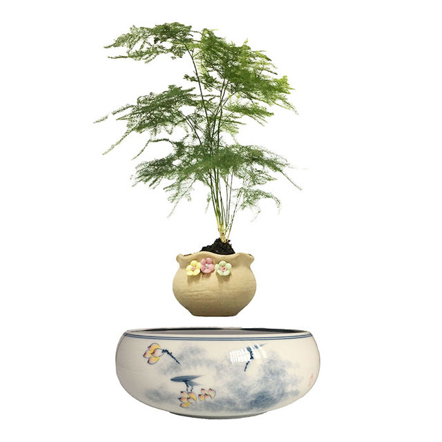 Levitating Air-Floating Bonsai Pot - stilyo