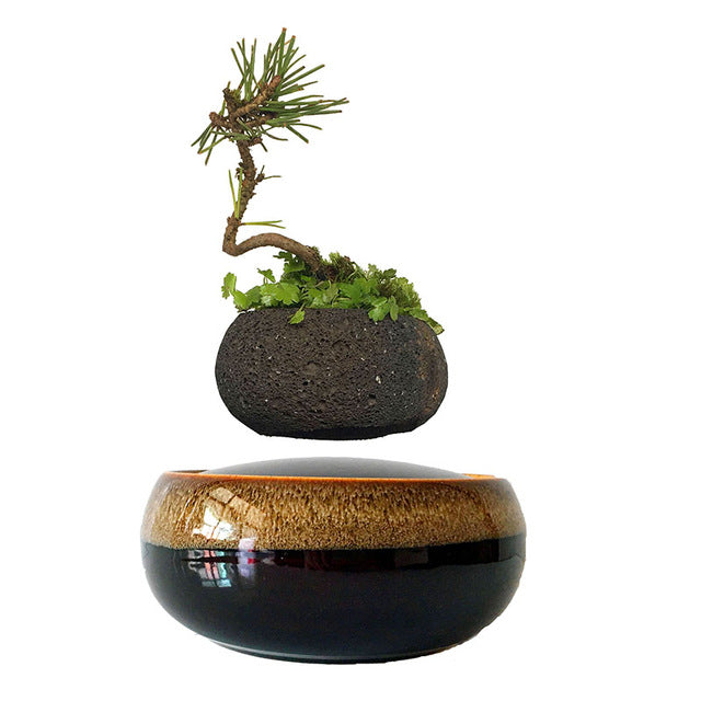 bonsai plant pots for sale Levitating Air-Floating Bonsai Pot – Stilyo Store
