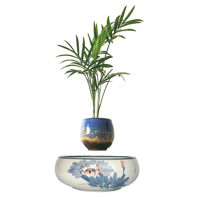 Levitating Bonsai Pot – PurpleFoxLane