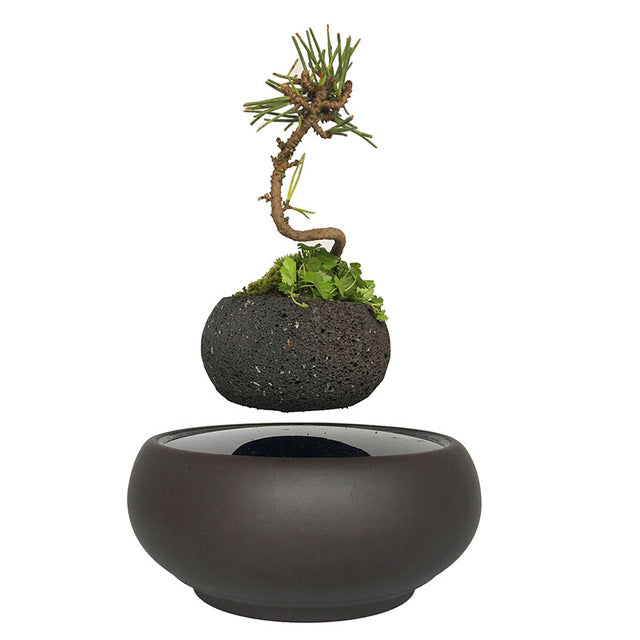 levitating planter pot Levitating Air-Floating Bonsai Pot – Stilyo Store