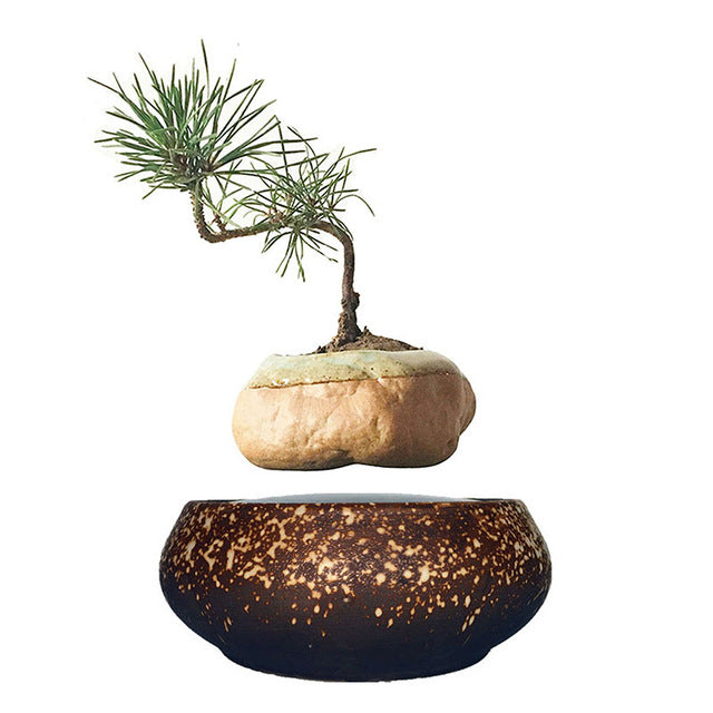 Levitating Air-Floating Bonsai Pot - stilyo